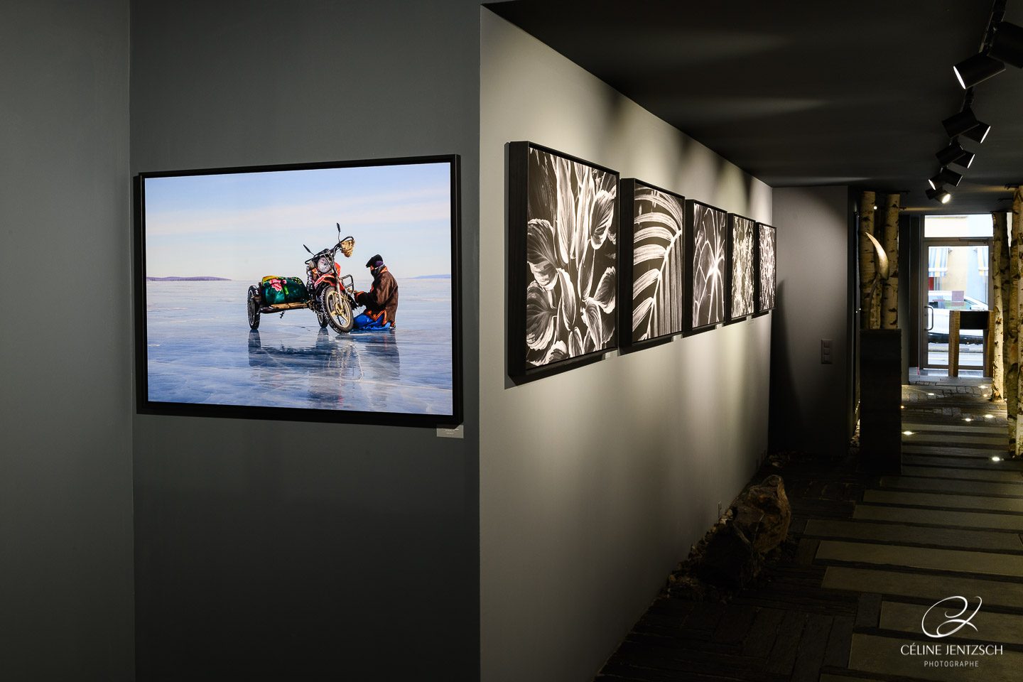 Galerie Mise en Scène