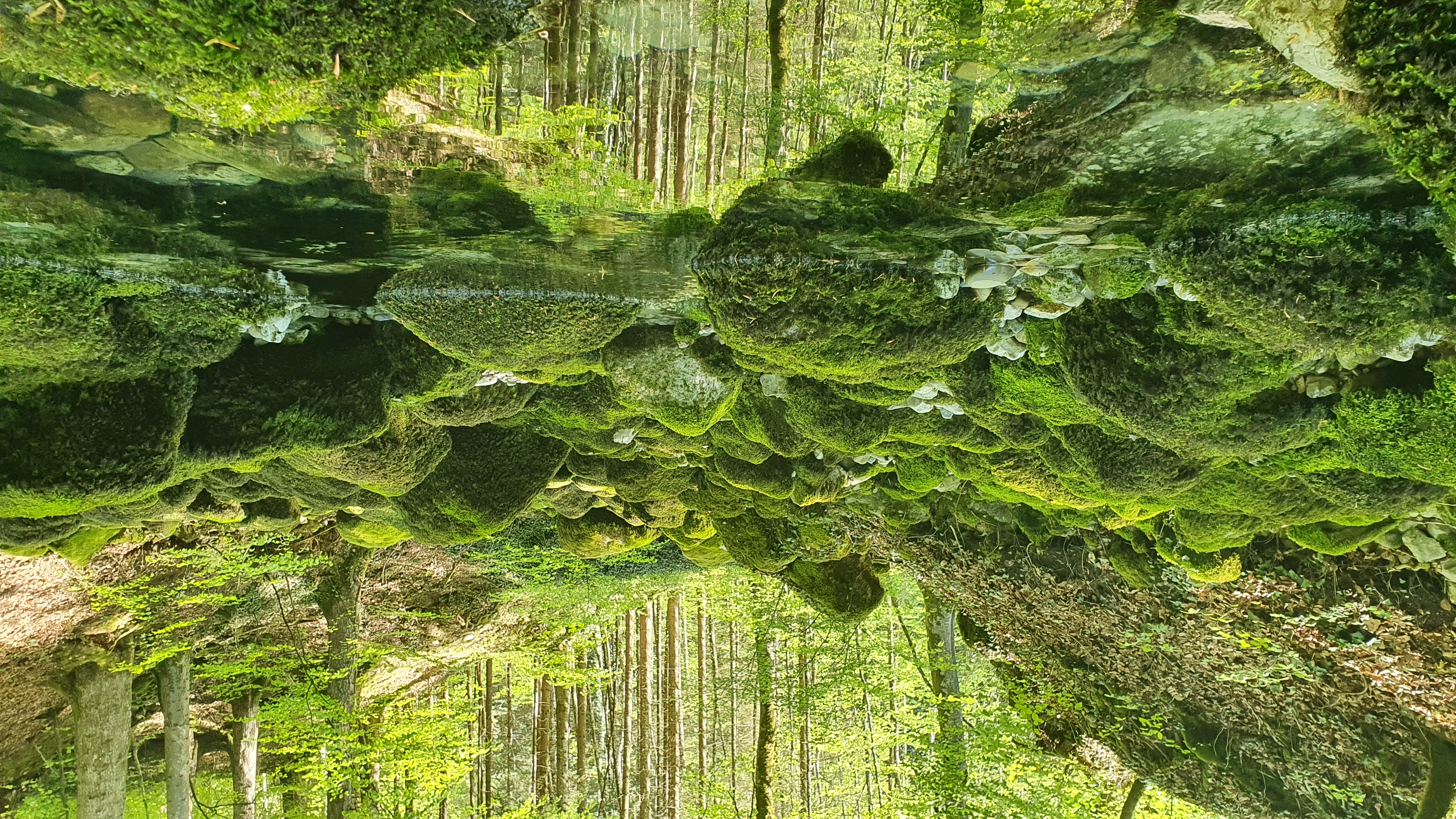 Source de la Malagne