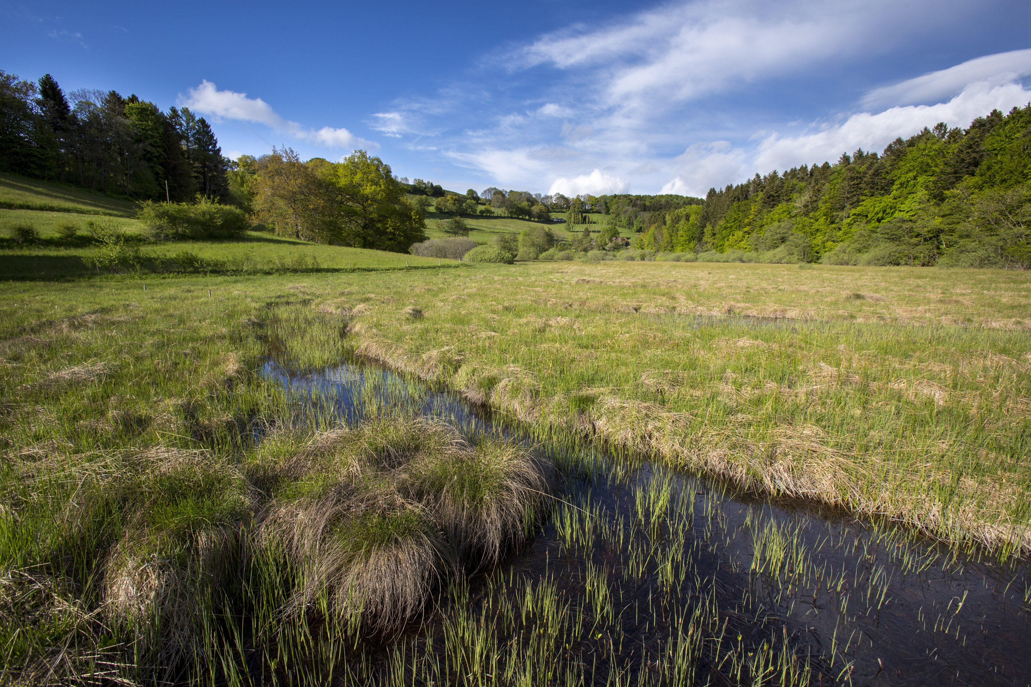 Le marais des Inversins