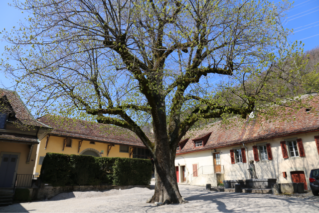 Domaine Château La Bâtie