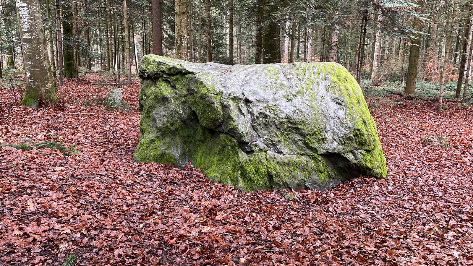 Les blocs erratiques
