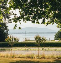 Question 1